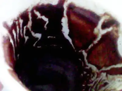 $Snapshot_20131024_13.webp