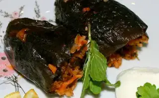 $image178.webp $image178.webp