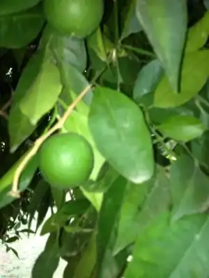 $tatil 2013 383.webp