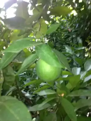 $tatil 2013 382.webp