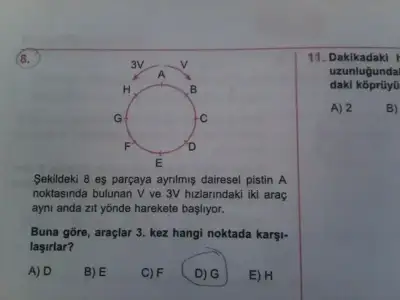 $ty5hs.webp $ty5hs.webp