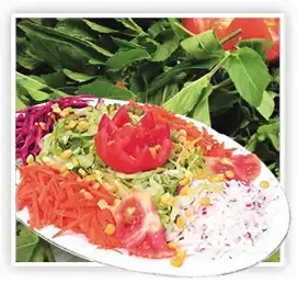 $mevsim_salata.webp $mevsim_salata.webp