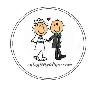 $AYLA-N&#304;&#350;AN.png.webp