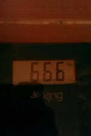 $068.webp