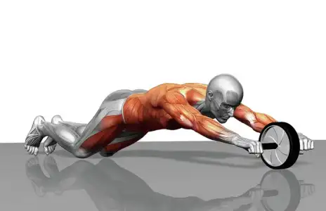 $Bab-wheel-slider-karin-egzersiz-aleti-3.webp