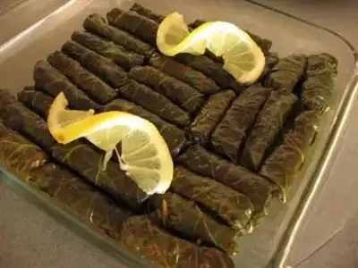 $dolma_10e852ab-d681-4a3a-83ae-1a108a0a694b_6.webp