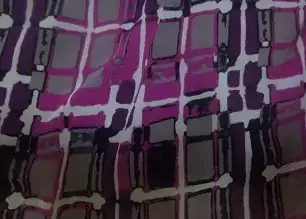$100_1194.webp