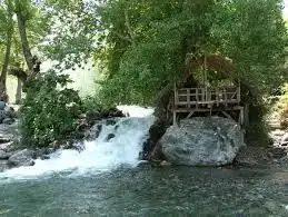 $image.webp $image.webp