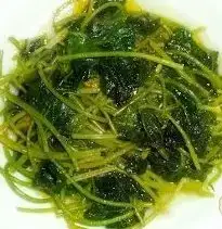 $image.webp $image.webp