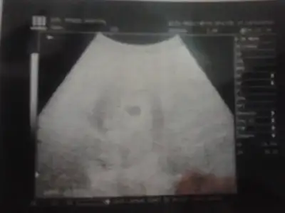 $2013-11-05 22.20.31.webp