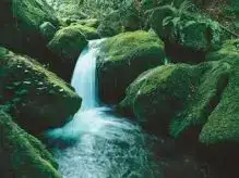 $image.webp $image.webp
