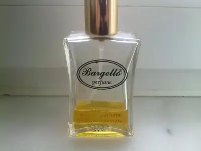 $bargello 310 2.webp