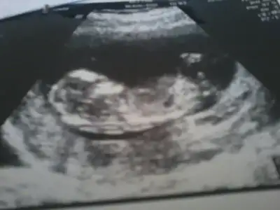 $2013-11-07 14.04.31.webp