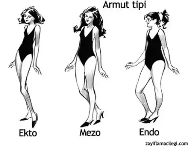 $armut-tipi.webp