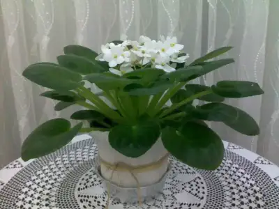 $+ MENEK&#350;E 23.webp