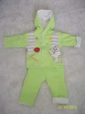 $100_2255.webp