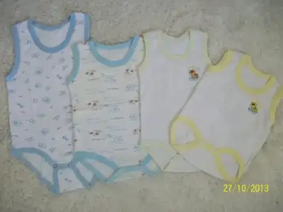$100_2292.webp