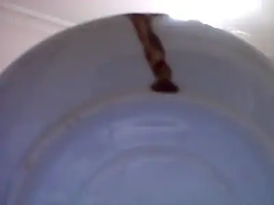 $Snapshot_20131112_12.webp