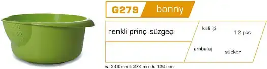 $g279.webp