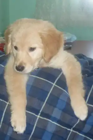 $P1010026 (531x800).webp