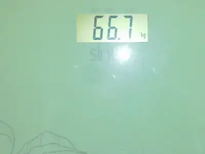 $66.7.webp