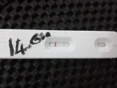 $2013-11-14 18.02.20.webp