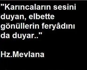 $resimli-mevlana-sozleri.webp