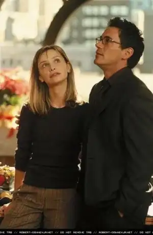 $Robert-on-Ally-McBeal-robert-downey-jr-704525_501_771.webp