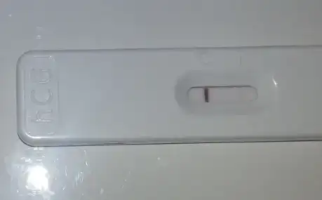 $2013-11-19 11.16.04.webp