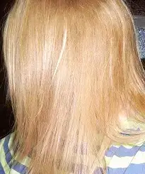 $PIC_0045.webp