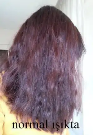 $20131121_150201.webp $20131121_150201.webp