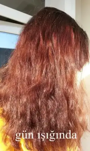 $20131121_150141.webp $20131121_150141.webp