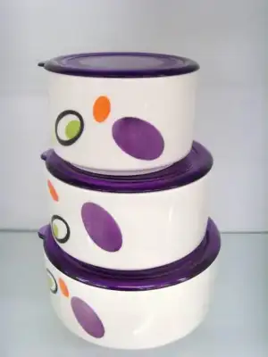 $porselen saklama kabı.webp