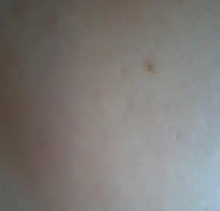 $P2230666.webp $P2230666.webp