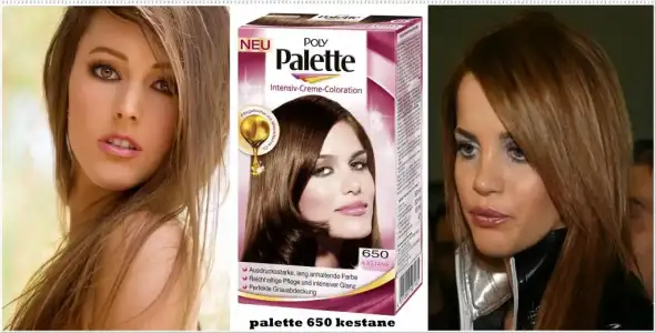 $Poly_Palette_IntensivCremeColoration_650_Kastanie_162876_300dpi_1772H_1772W.webp $Poly_Palette_IntensivCremeColoration_650_Kastanie_162876_300dpi_1772H_1772W.webp