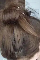 $100_1550.webp
