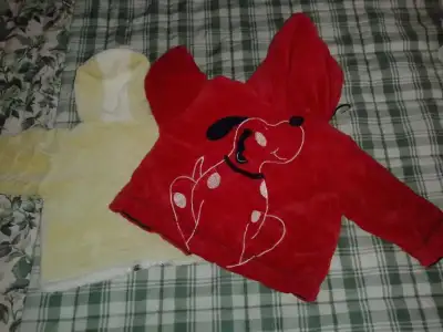 $20130929_120002.webp
