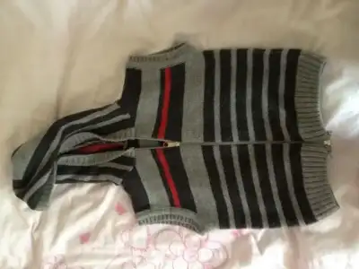 $17.webp