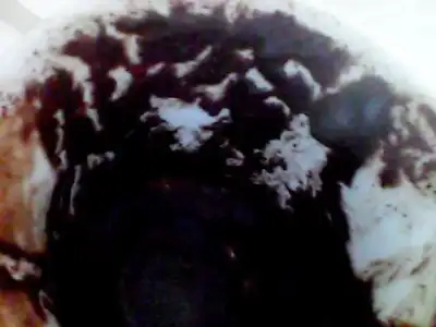 $Snapshot_20131130_1.webp