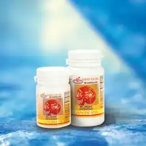 $ganoderma.webp $ganoderma.webp