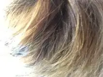 $gün ýþýðý.webp $gün ýþýðý.webp