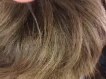 $florasan.webp $florasan.webp