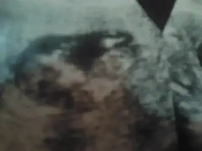 $2013-12-07 12.14.13.webp