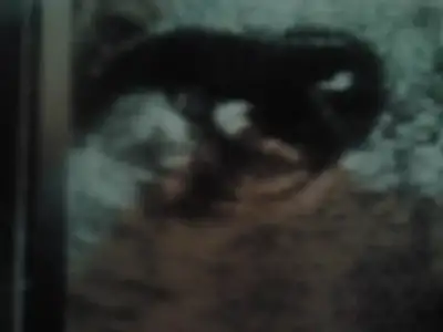 $2013-12-07 12.14.31.webp