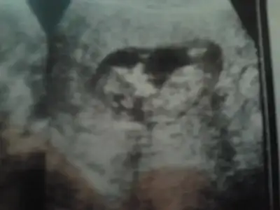 $2013-12-07 12.14.42.webp