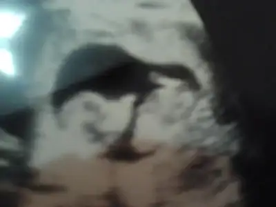 $2013-12-07 12.15.13.webp