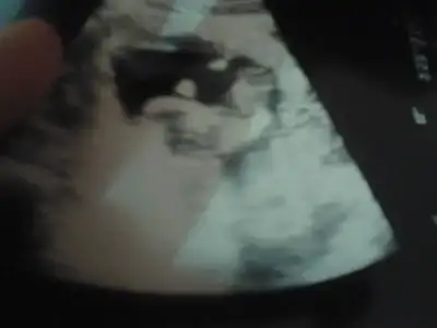 $2013-12-07 12.15.32.webp