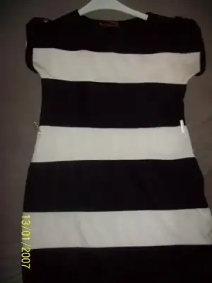 $103_0151.webp