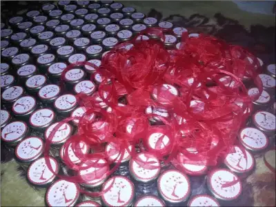 $K&#305;na &#350;i&#351;e-1-.webp