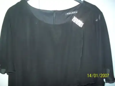 $103_0249.webp